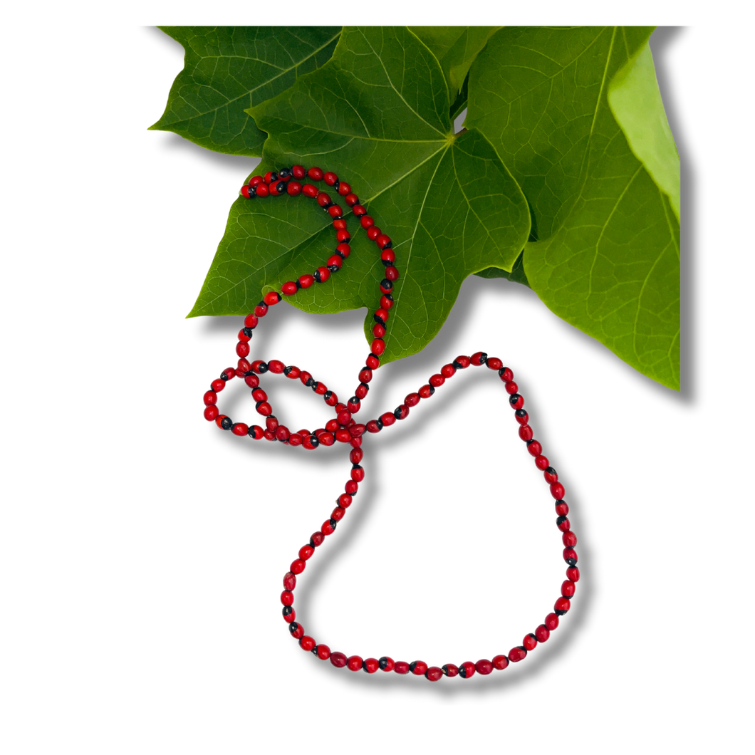 Spiritually Prepared Protection Necklace